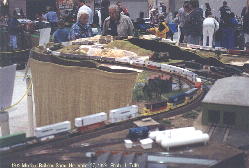Pig train