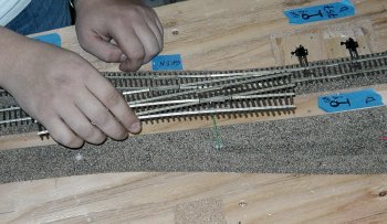 Frog Wires!